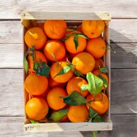 Orangen aus Kalabrien 1kg – Fruchtig, saftig &...