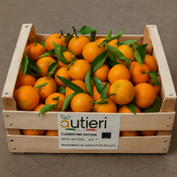 Clementinen aus Kalabrien – Frischware – 1 kg